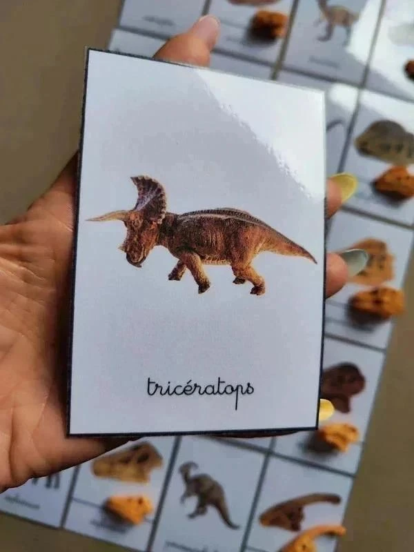 Kit benamingen van dinosaurussen met schedels Montessori – photo 7